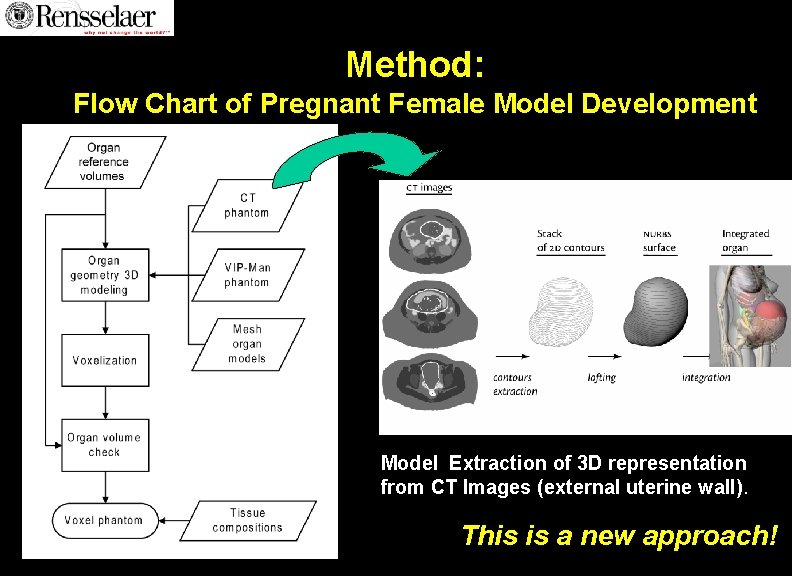 Method: Flow Chart of Pregnant Female Model Development Model Extraction of 3 D representation Method: Flow Chart of Pregnant Female Model Development Model Extraction of 3 D representation