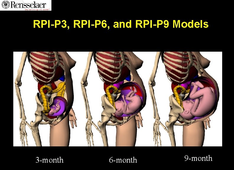 RPI-P 3, RPI-P 6, and RPI-P 9 Models 3 -month 6 -month 9 -month RPI-P 3, RPI-P 6, and RPI-P 9 Models 3 -month 6 -month 9 -month