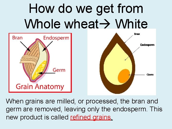 How do we get from Whole wheat White When grains are milled, or processed,