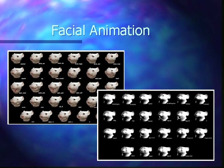 Facial Animation 