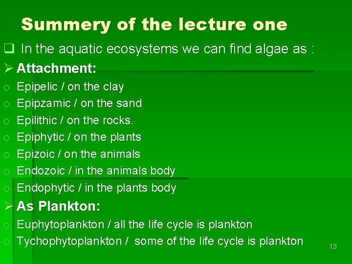 Summery of the lecture one q In the aquatic ecosystems we can find algae