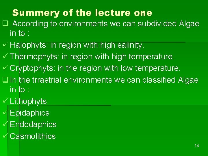 Summery of the lecture one q According to environments we can subdivided Algae in