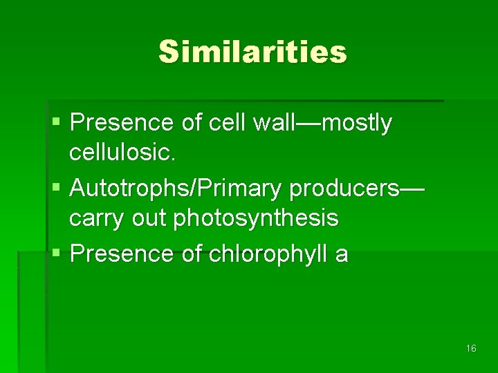 Similarities § Presence of cell wall—mostly cellulosic. § Autotrophs/Primary producers— carry out photosynthesis §