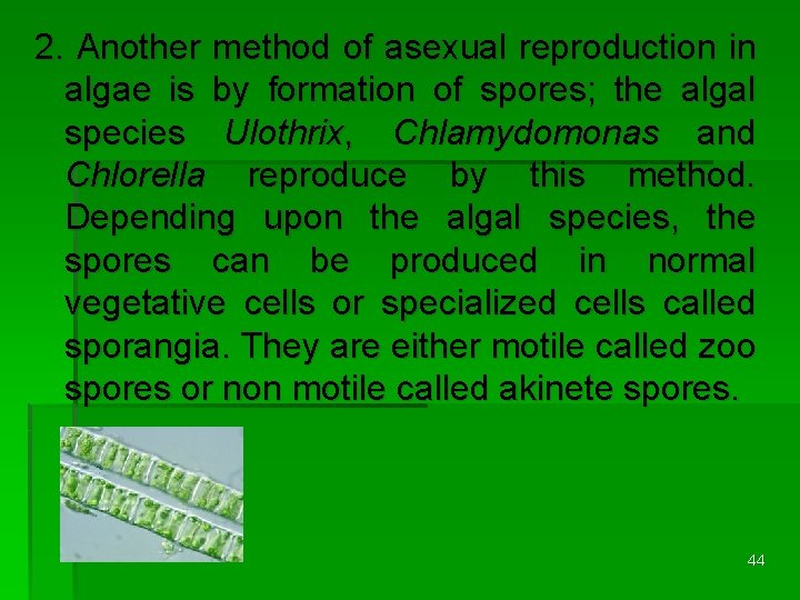 2. Another method of asexual reproduction in algae is by formation of spores; the