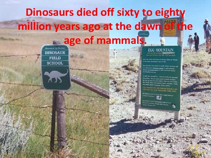 Dinosaurs died off sixty to eighty million years ago at the dawn of the