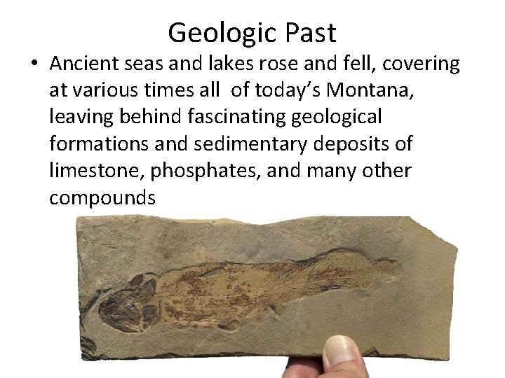 Geologic Past • Ancient seas and lakes rose and fell, covering at various times