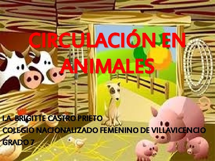 CIRCULACIÓN EN ANIMALES I. A. BRIGITTE CASTRO PRIETO COLEGIO NACIONALIZADO FEMENINO DE VILLAVICENCIO GRADO