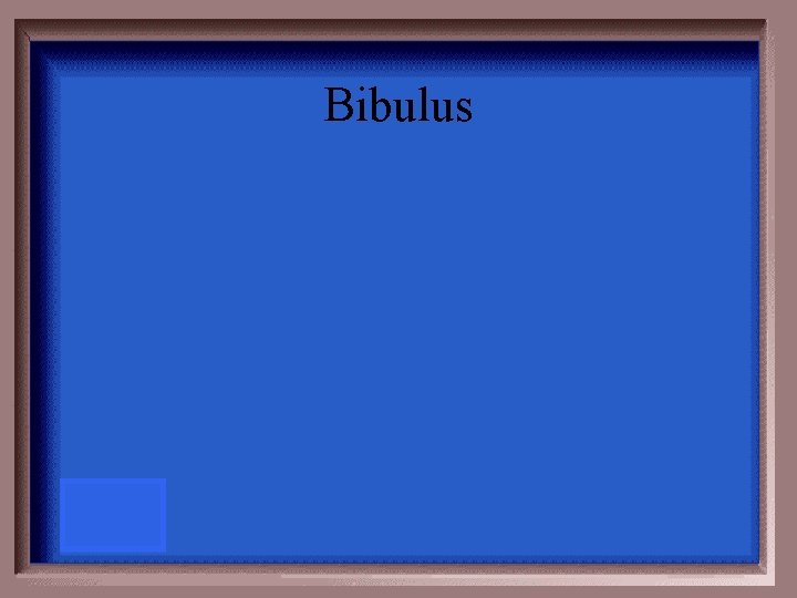 Bibulus 