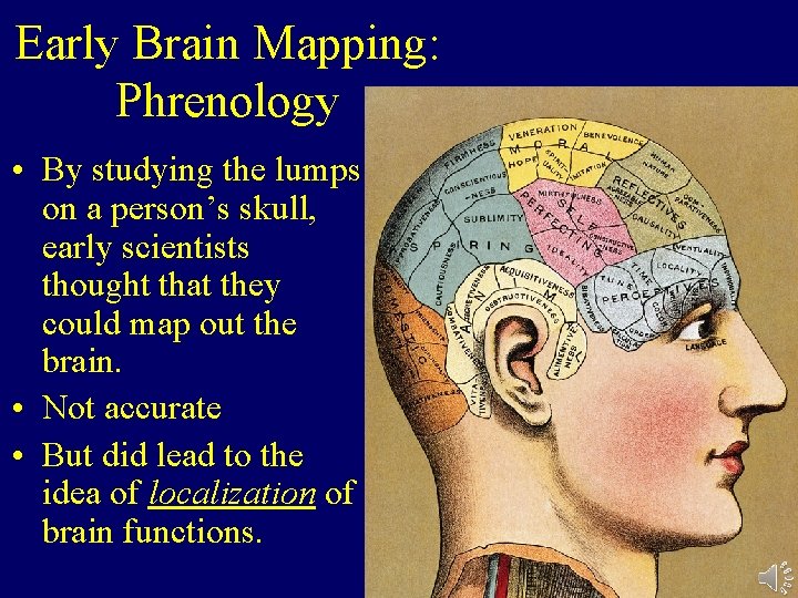 Early Brain Mapping: Phrenology • By studying the lumps on a person’s skull, early