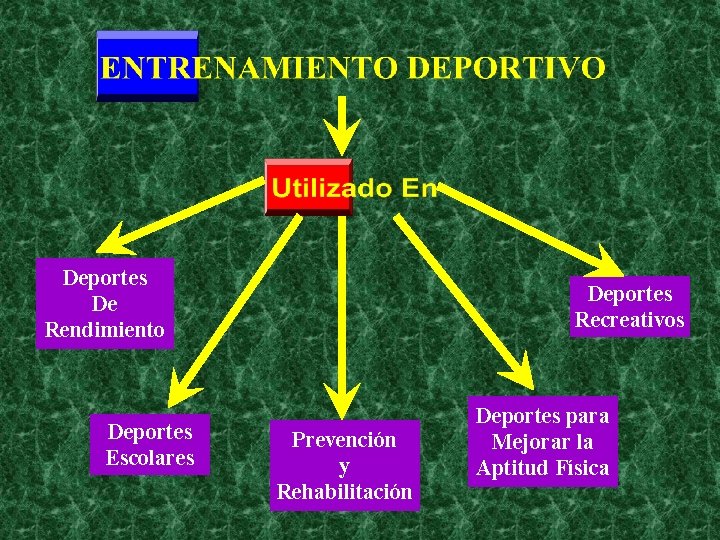 Deportes De Rendimiento Deportes Escolares Deportes Recreativos Prevención y Rehabilitación Deportes para Mejorar la