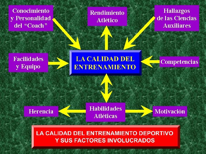 Conocimiento y Personalidad del “Coach” Rendimiento Atlético Facilidades y Equipo Herencia Hallazgos de las