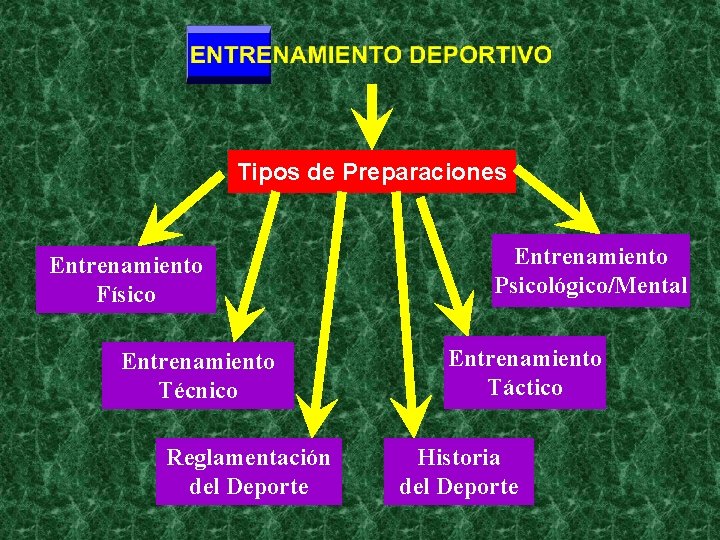 Tipos de Preparaciones Entrenamiento Físico Entrenamiento Técnico Reglamentación del Deporte Entrenamiento Psicológico/Mental Entrenamiento Táctico