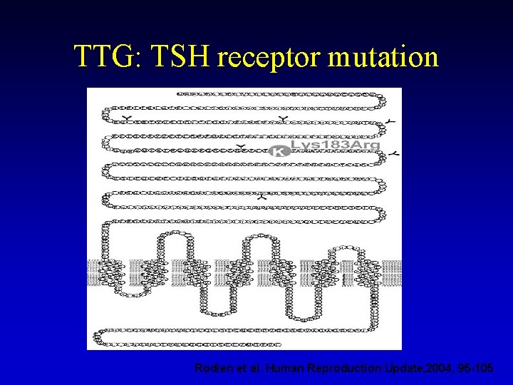 TTG: TSH receptor mutation Rodien et al. Human Reproduction Update, 2004, 95 -105 