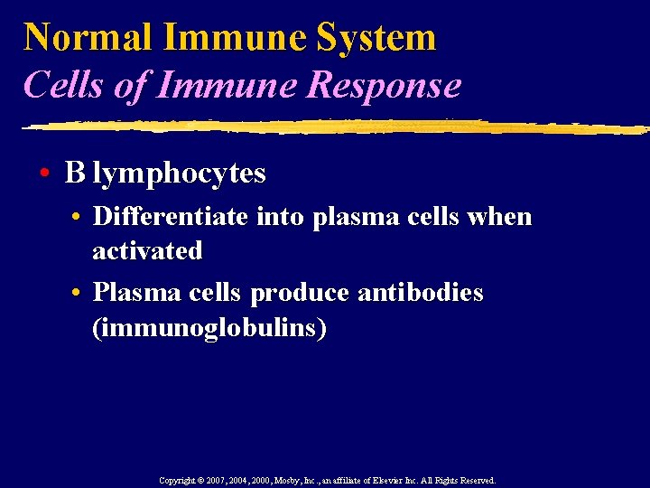 Normal Immune System Cells of Immune Response • B lymphocytes • Differentiate into plasma