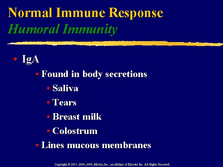 Normal Immune Response Humoral Immunity • Ig. A • Found in body secretions •