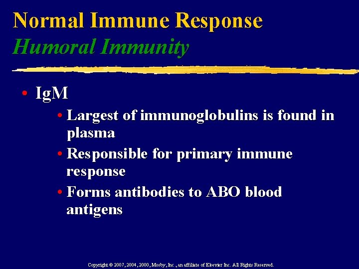 Normal Immune Response Humoral Immunity • Ig. M • Largest of immunoglobulins is found