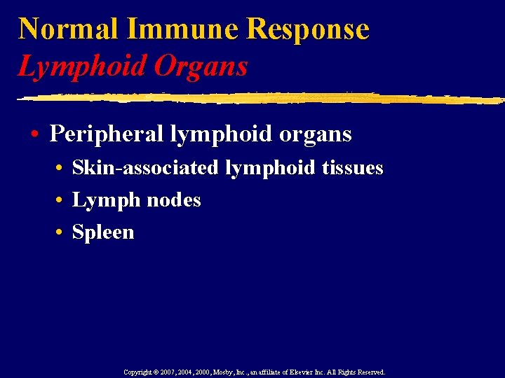 Normal Immune Response Lymphoid Organs • Peripheral lymphoid organs • • • Skin-associated lymphoid