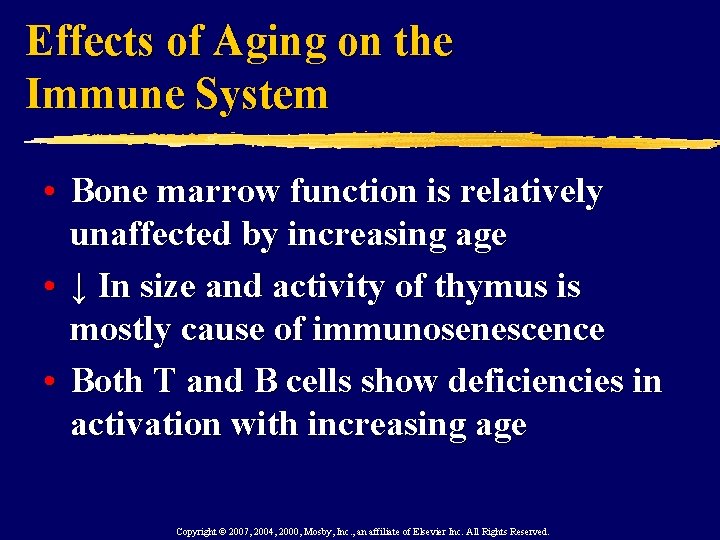 Effects of Aging on the Immune System • Bone marrow function is relatively unaffected