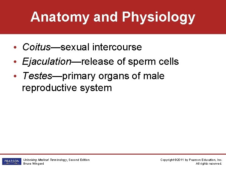 Anatomy and Physiology • Coitus—sexual intercourse • Ejaculation—release of sperm cells • Testes—primary organs