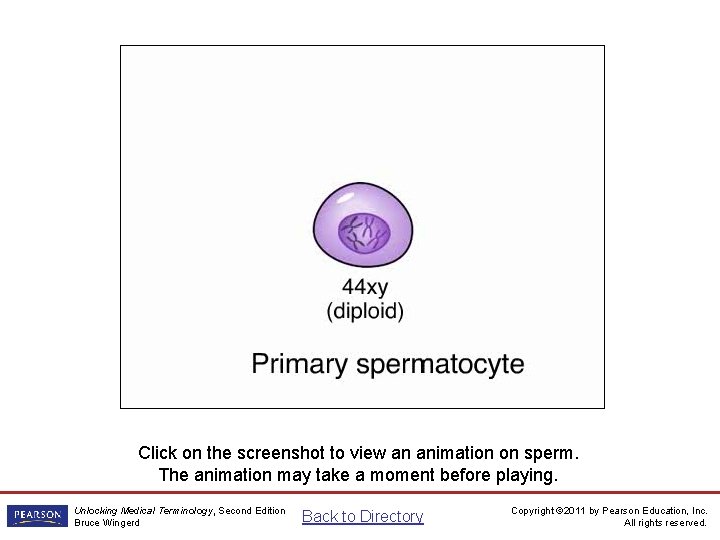 Sperm Animation Click on the screenshot to view an animation on sperm. The animation
