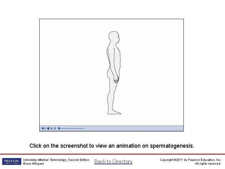 Spermatogenesis Animation Click on the screenshot to view an animation on spermatogenesis. Unlocking Medical