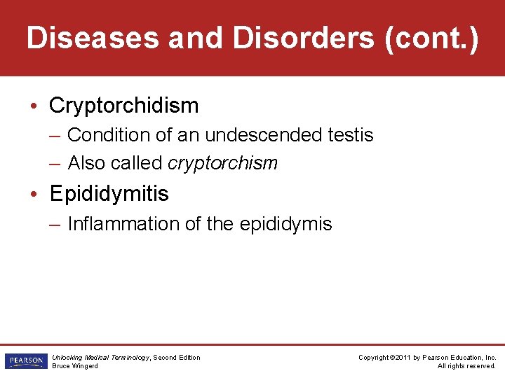 Diseases and Disorders (cont. ) • Cryptorchidism – Condition of an undescended testis –