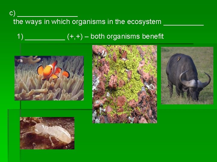 c) ________ the ways in which organisms in the ecosystem _____ 1) _____ (+,