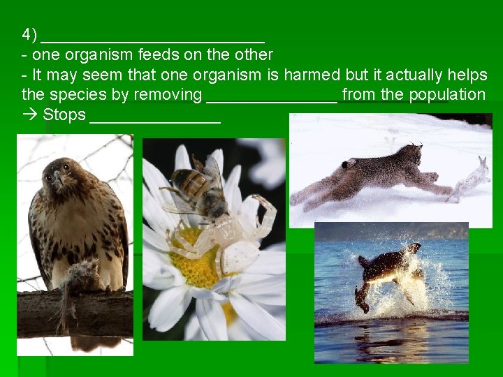 4) ____________ - one organism feeds on the other - It may seem that