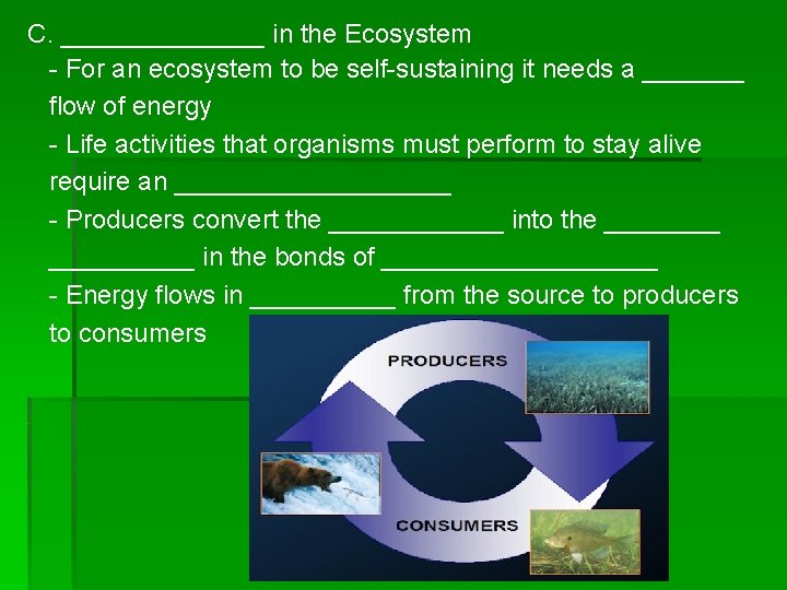C. _______ in the Ecosystem - For an ecosystem to be self-sustaining it needs