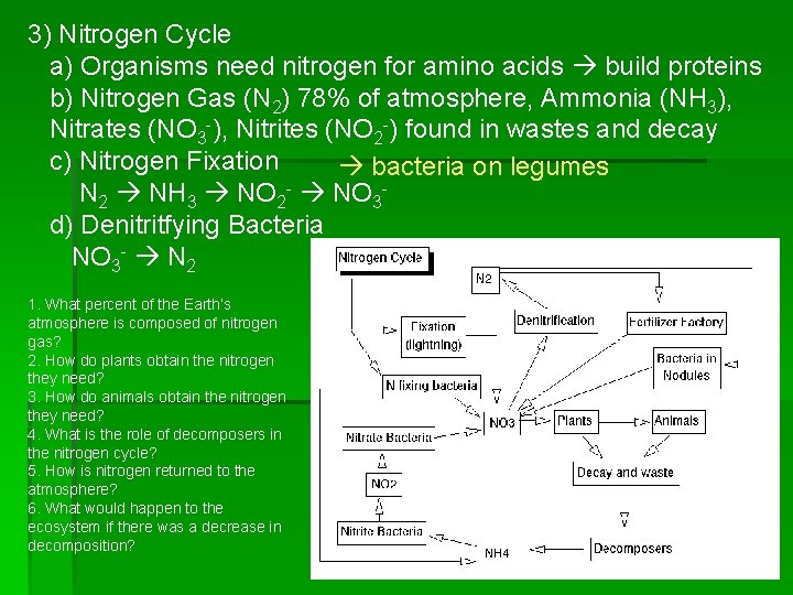 3) Nitrogen Cycle a) Organisms need nitrogen for amino acids build proteins b) Nitrogen