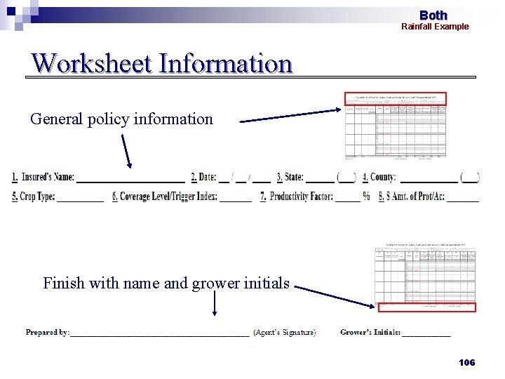 Both Rainfall Example Worksheet Information General policy information Finish with name and grower initials