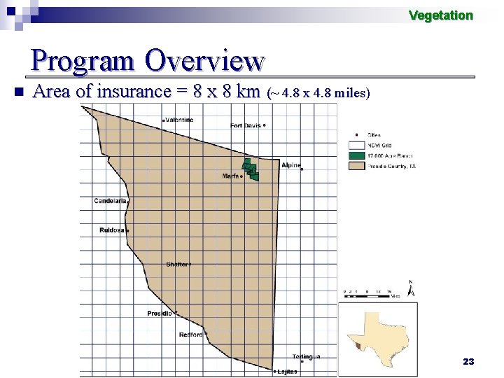 Vegetation Program Overview n Area of insurance = 8 x 8 km (~ 4.