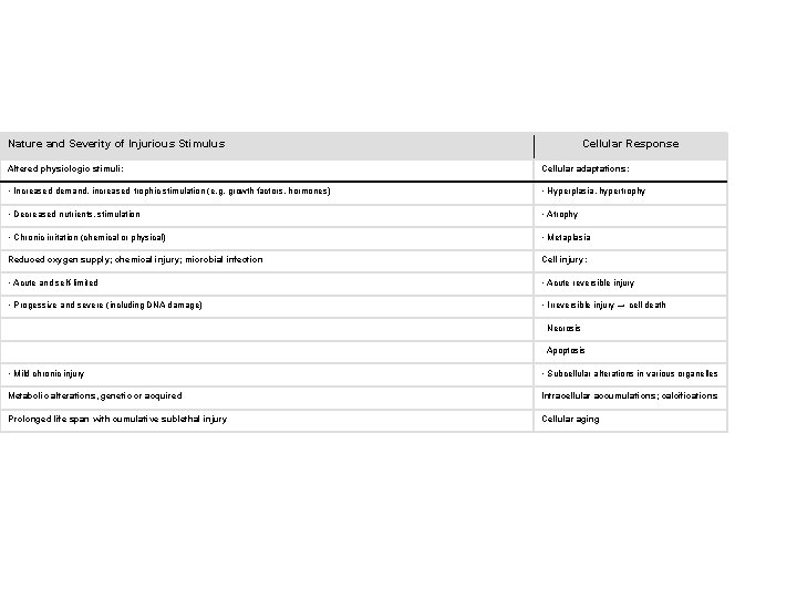 Nature and Severity of Injurious Stimulus Cellular Response Table 1 -1. Cellular Responses to