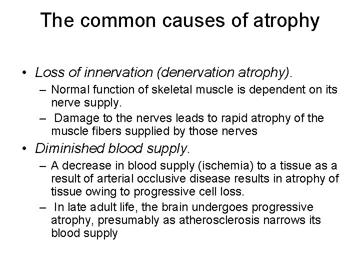 The common causes of atrophy • Loss of innervation (denervation atrophy). – Normal function