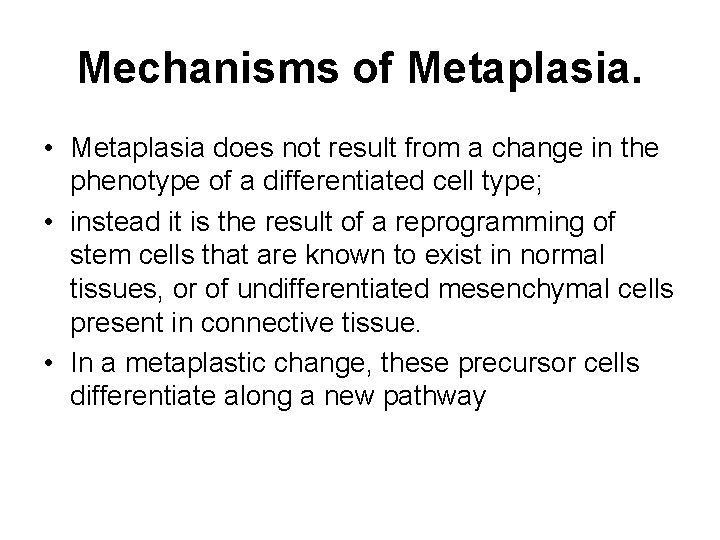 Mechanisms of Metaplasia. • Metaplasia does not result from a change in the phenotype