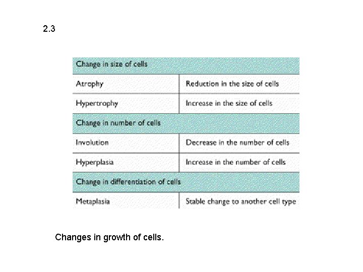 2. 3 Changes in growth of cells. 