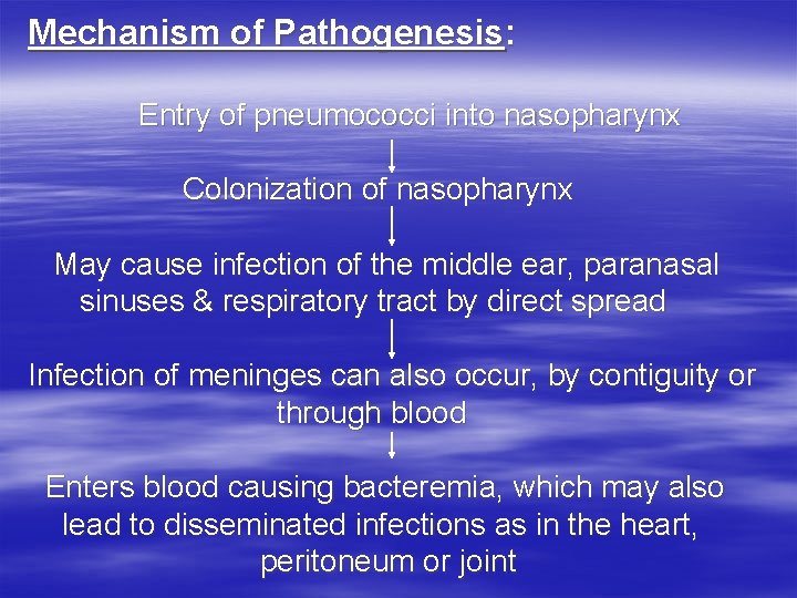 Mechanism of Pathogenesis: Entry of pneumococci into nasopharynx Colonization of nasopharynx May cause infection Mechanism of Pathogenesis: Entry of pneumococci into nasopharynx Colonization of nasopharynx May cause infection