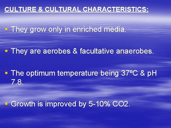 CULTURE & CULTURAL CHARACTERISTICS: § They grow only in enriched media. § They are CULTURE & CULTURAL CHARACTERISTICS: § They grow only in enriched media. § They are