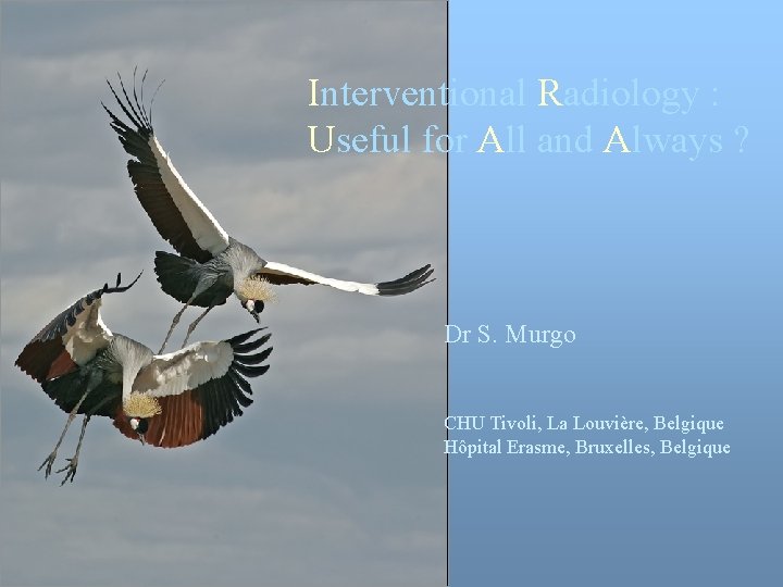 Interventional Radiology : Useful for All and Always ? Dr S. Murgo CHU Tivoli,