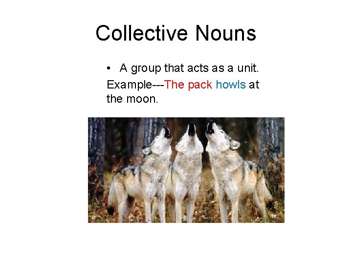 Collective Nouns • A group that acts as a unit. Example---The pack howls at