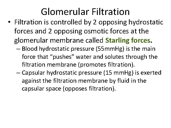 Glomerular Filtration • Filtration is controlled by 2 opposing hydrostatic forces and 2 opposing