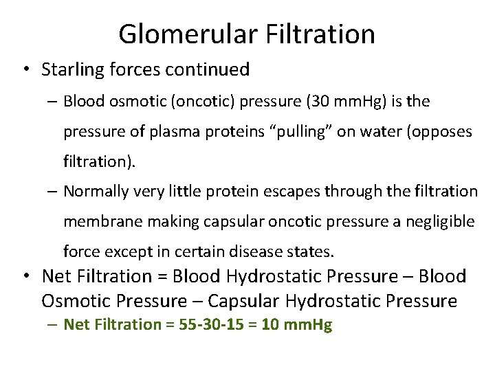 Glomerular Filtration • Starling forces continued – Blood osmotic (oncotic) pressure (30 mm. Hg)