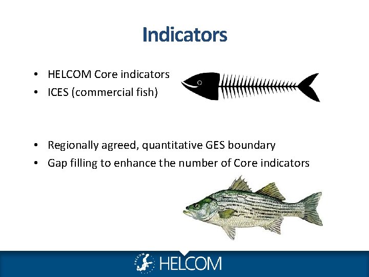 Indicators • HELCOM Core indicators • ICES (commercial fish) • Regionally agreed, quantitative GES Indicators • HELCOM Core indicators • ICES (commercial fish) • Regionally agreed, quantitative GES