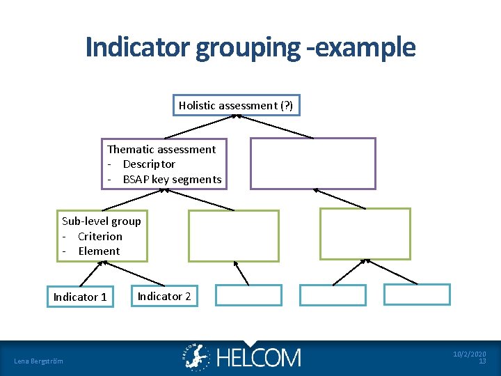 Indicator grouping -example Holistic assessment (? ) Thematic assessment - Descriptor - BSAP key Indicator grouping -example Holistic assessment (? ) Thematic assessment - Descriptor - BSAP key
