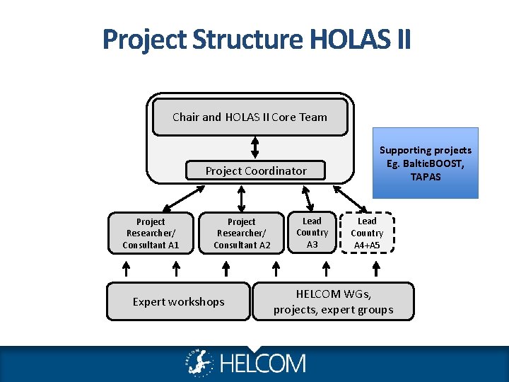 Project Structure HOLAS II Chair and HOLAS II Core Team Project Coordinator Project Researcher/ Project Structure HOLAS II Chair and HOLAS II Core Team Project Coordinator Project Researcher/