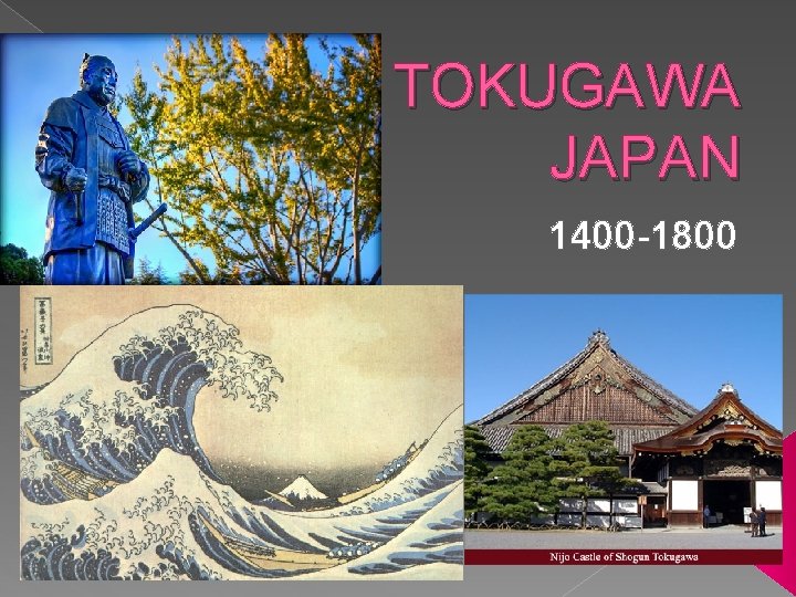 TOKUGAWA JAPAN 1400 -1800 