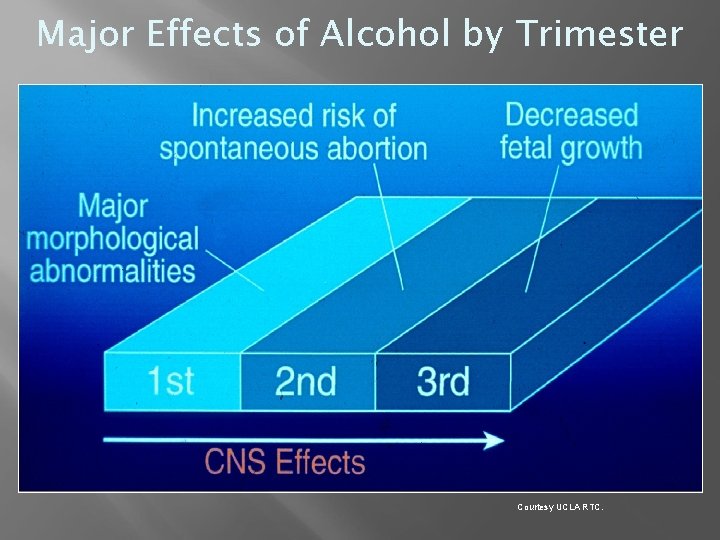 Major Effects of Alcohol by Trimester Courtesy UCLA RTC. 