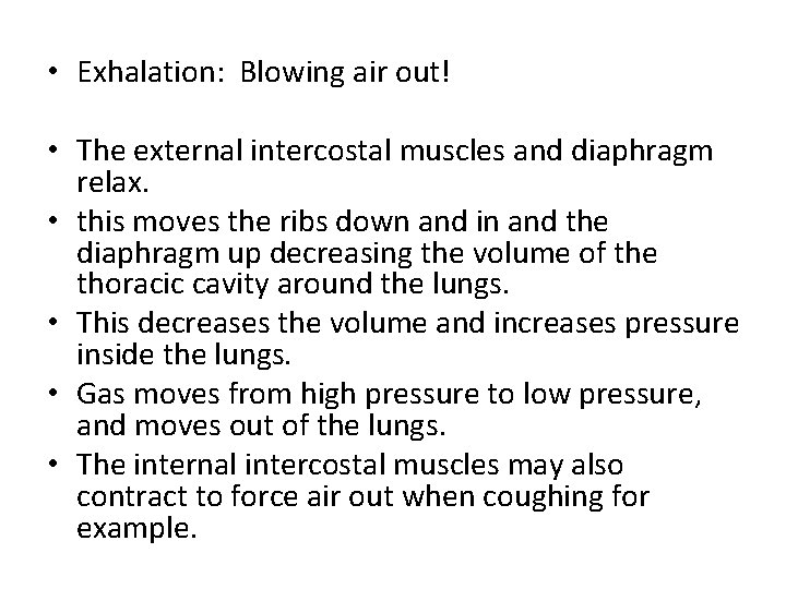  • Exhalation: Blowing air out! • The external intercostal muscles and diaphragm relax.