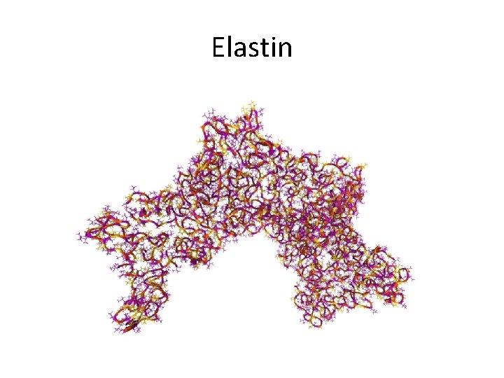 Elastin 