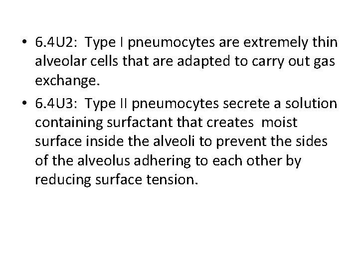  • 6. 4 U 2: Type I pneumocytes are extremely thin alveolar cells